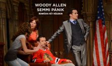 Woody Allen -  Semmi pánik